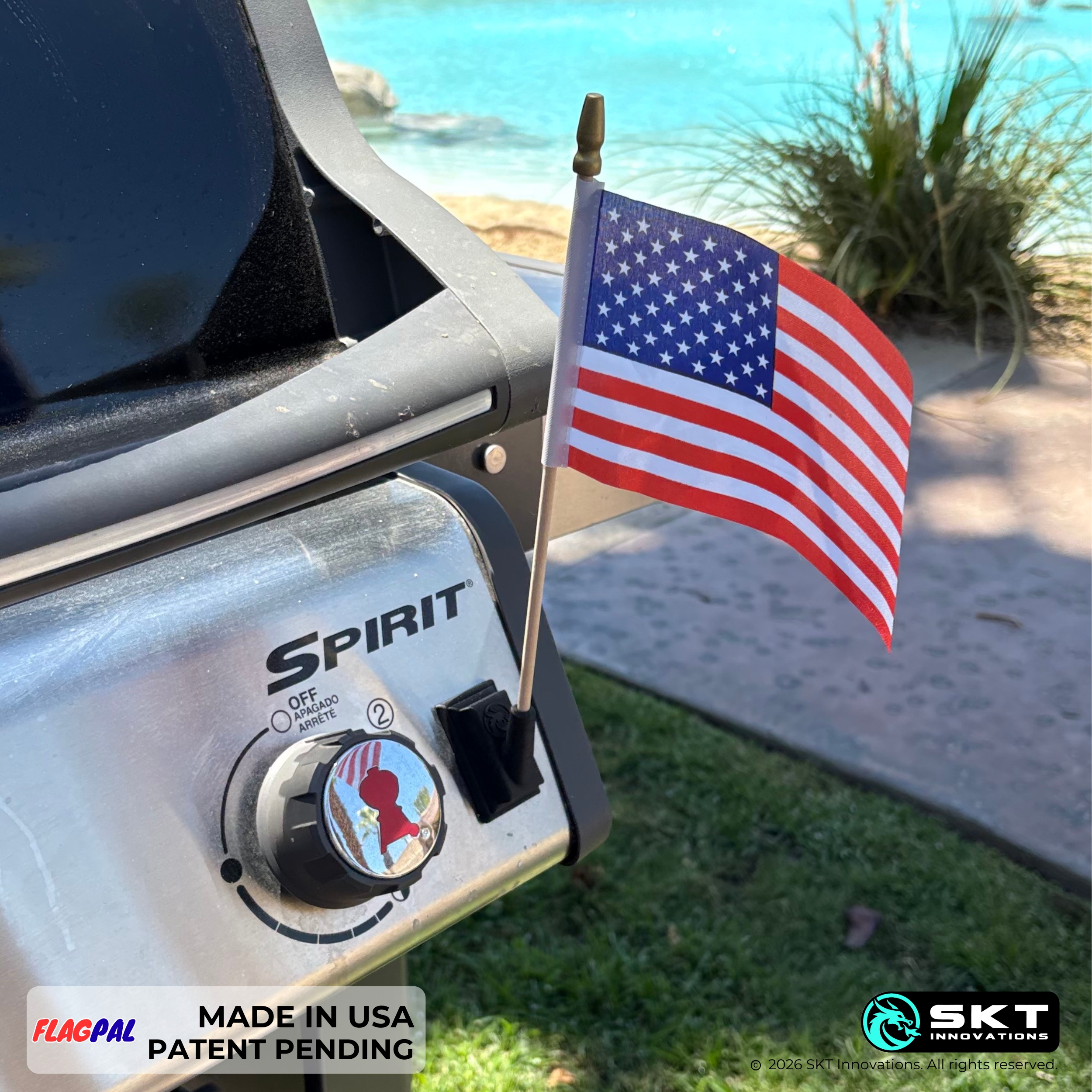 The FlagPal - Image 11
